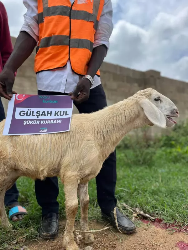 Şükür Kurbanı