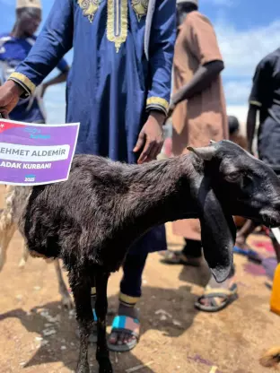 Adak Kurbanı