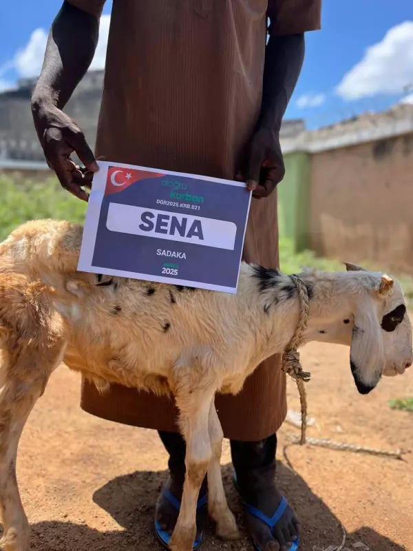 Sadaka Kurbanı