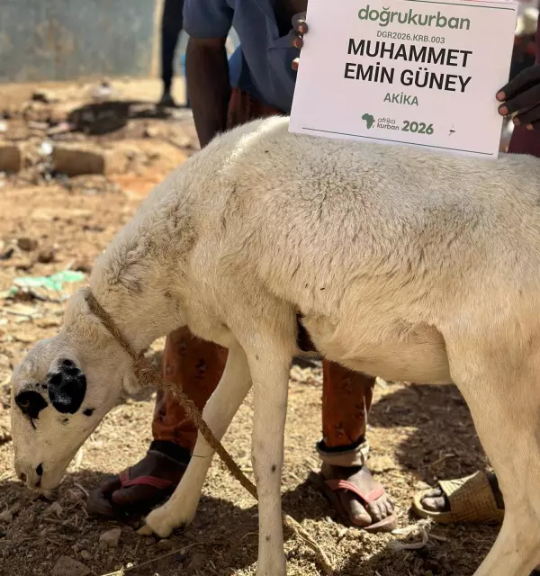 Akika Kurbanı