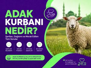Adak Kurbanı Nedir? Şartları, Dağıtımı ve Merak Edilen Tüm Sorular
